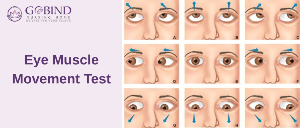 Healthy eye muscles ensure both eyes work together properly.